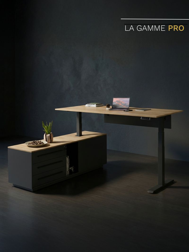 Bureau de Direction Assis Debout Électrique | Prestige