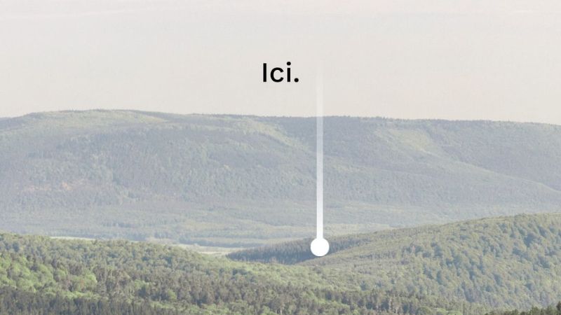 AUM WORLD_Bois issus des Forêts Vosgiennes 