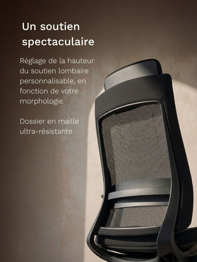 Chaise de Bureau Ergonomique | Synkro_Soutien spectaculaire