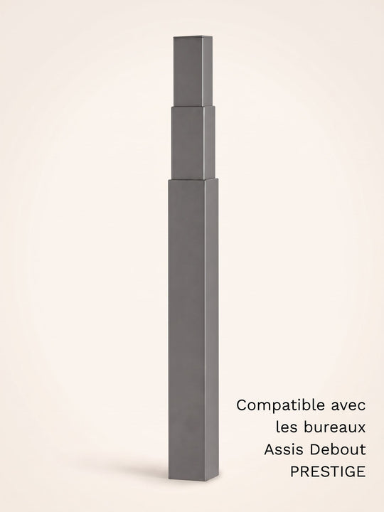 Colonne motorisée universelle pour bureau Assis Debout électrique