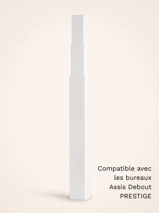 Colonne motorisée universelle pour bureau Assis Debout électrique